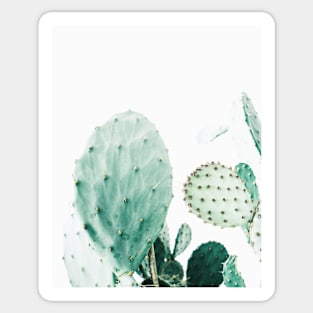 Cacti, Cactus, Cacti print, Cactus art, Desert, Nature, plant, Minimalist, Modern Sticker